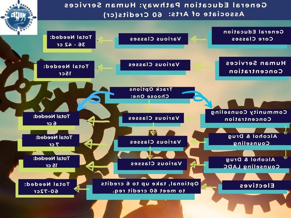 Human Services Process Map